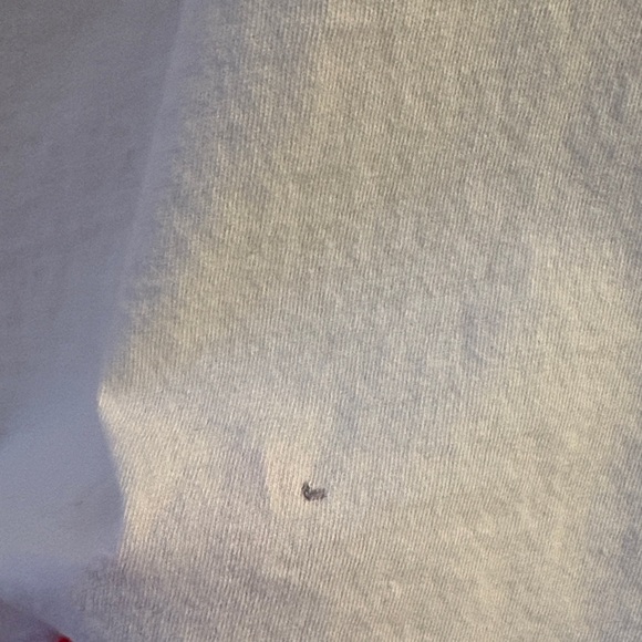 imogene + willie Cream Tee with Red Floral Design - Picture 6 of 10